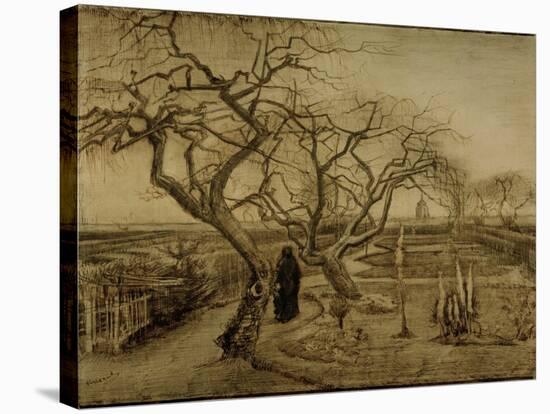 Winter Garden, March 1884-Vincent van Gogh-Stretched Canvas
