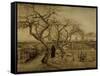 Winter Garden, March 1884-Vincent van Gogh-Framed Stretched Canvas