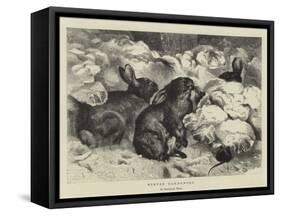 Winter Gardeners-Harrison William Weir-Framed Stretched Canvas