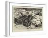 Winter Gardeners-Harrison William Weir-Framed Giclee Print