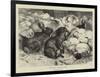 Winter Gardeners-Harrison William Weir-Framed Giclee Print