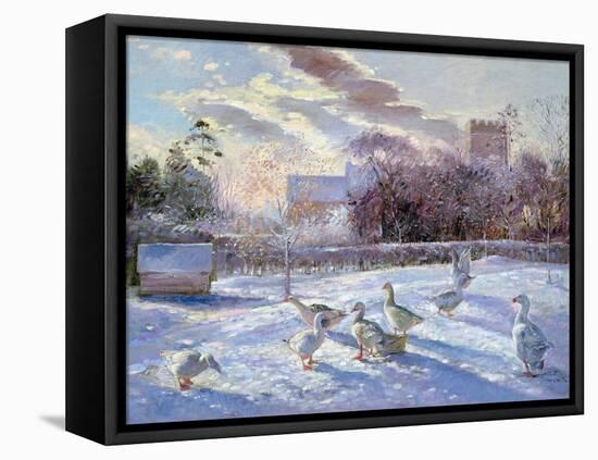 Winter Geese in Church Meadow-Timothy Easton-Framed Stretched Canvas