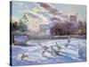 Winter Geese in Church Meadow-Timothy Easton-Stretched Canvas