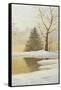 Winter Glow Panel 3-Arnie Fisk-Framed Stretched Canvas