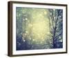 Winter Glow-Irene Suchocki-Framed Giclee Print