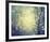 Winter Glow-Irene Suchocki-Framed Giclee Print