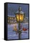 Winter Glow-William Vanderdasson-Framed Stretched Canvas