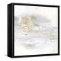 Winter Gold IV-Chris Paschke-Framed Stretched Canvas
