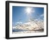 Winter Grass-Andrew Geiger-Framed Photographic Print