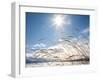 Winter Grass-Andrew Geiger-Framed Photographic Print