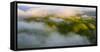 Winter Green Hills and Fog Over East Bay Hills, Northern California-Vincent James-Framed Stretched Canvas