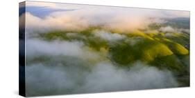 Winter Green Hills and Fog Over East Bay Hills, Northern California-Vincent James-Stretched Canvas