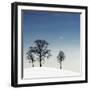 Winter Haiku-Piet Flour-Framed Photographic Print