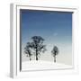 Winter Haiku-Piet Flour-Framed Photographic Print