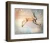 Winter Hare-Claire Westwood-Framed Art Print