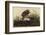 Winter Hawk-John James Audubon-Framed Art Print