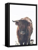 Winter Highland Cow-Leah Straatsma-Framed Stretched Canvas