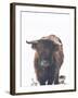 Winter Highland Cow-Leah Straatsma-Framed Art Print