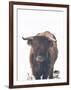 Winter Highland Cow-Leah Straatsma-Framed Art Print