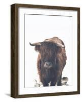 Winter Highland Cow-Leah Straatsma-Framed Art Print