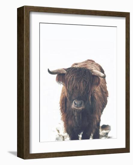 Winter Highland Cow-Leah Straatsma-Framed Art Print