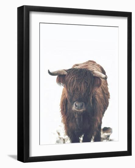 Winter Highland Cow-Leah Straatsma-Framed Art Print