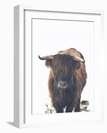 Winter Highland Cow-Leah Straatsma-Framed Art Print