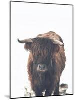 Winter Highland Cow-Leah Straatsma-Mounted Art Print