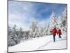 Winter Hiking on Mount Cardigan, Clark Trail, Canaan, New Hampshire, USA-Jerry & Marcy Monkman-Mounted Photographic Print