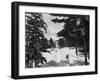 Winter Holiday-null-Framed Photo