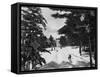 Winter Holiday-null-Framed Stretched Canvas