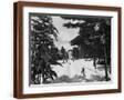 Brown Frame