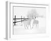 Winter Horses-Ata Alishahi-Framed Giclee Print