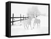 Winter Horses-Ata Alishahi-Framed Stretched Canvas