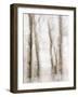 Winter Hush IV-Doug Chinnery-Framed Photographic Print