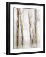 Winter Hush IV-Doug Chinnery-Framed Photographic Print