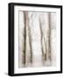 Winter Hush IV-Doug Chinnery-Framed Photographic Print