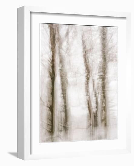 Winter Hush IV-Doug Chinnery-Framed Photographic Print