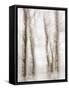 Winter Hush IV-Doug Chinnery-Framed Stretched Canvas