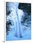 Winter ice hangs on Horsetail Falls, Columbia River Gorge National Scenic Area, Multnomah County...-null-Framed Photographic Print