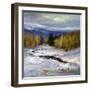 Winter III-Sheila Finch-Framed Art Print