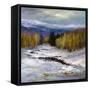 Winter III-Sheila Finch-Framed Stretched Canvas