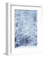 Winter in a park, Indianapolis, Indiana, ISA-Anna Miller-Framed Photographic Print