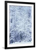 Winter in a park, Indianapolis, Indiana, ISA-Anna Miller-Framed Photographic Print