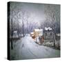 Winter in Bucks County-Carol Sirak-Stretched Canvas