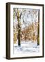 Winter in Central Park III - In the Style of Oil Painting-Philippe Hugonnard-Framed Giclee Print