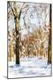 Winter in Central Park III - In the Style of Oil Painting-Philippe Hugonnard-Mounted Giclee Print