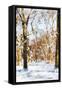 Winter in Central Park III - In the Style of Oil Painting-Philippe Hugonnard-Framed Stretched Canvas