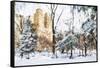 Winter in Central Park - In the Style of Oil Painting-Philippe Hugonnard-Framed Stretched Canvas