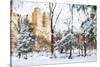 Winter in Central Park - In the Style of Oil Painting-Philippe Hugonnard-Stretched Canvas